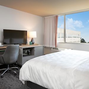 Habitación Estándar con Cama King